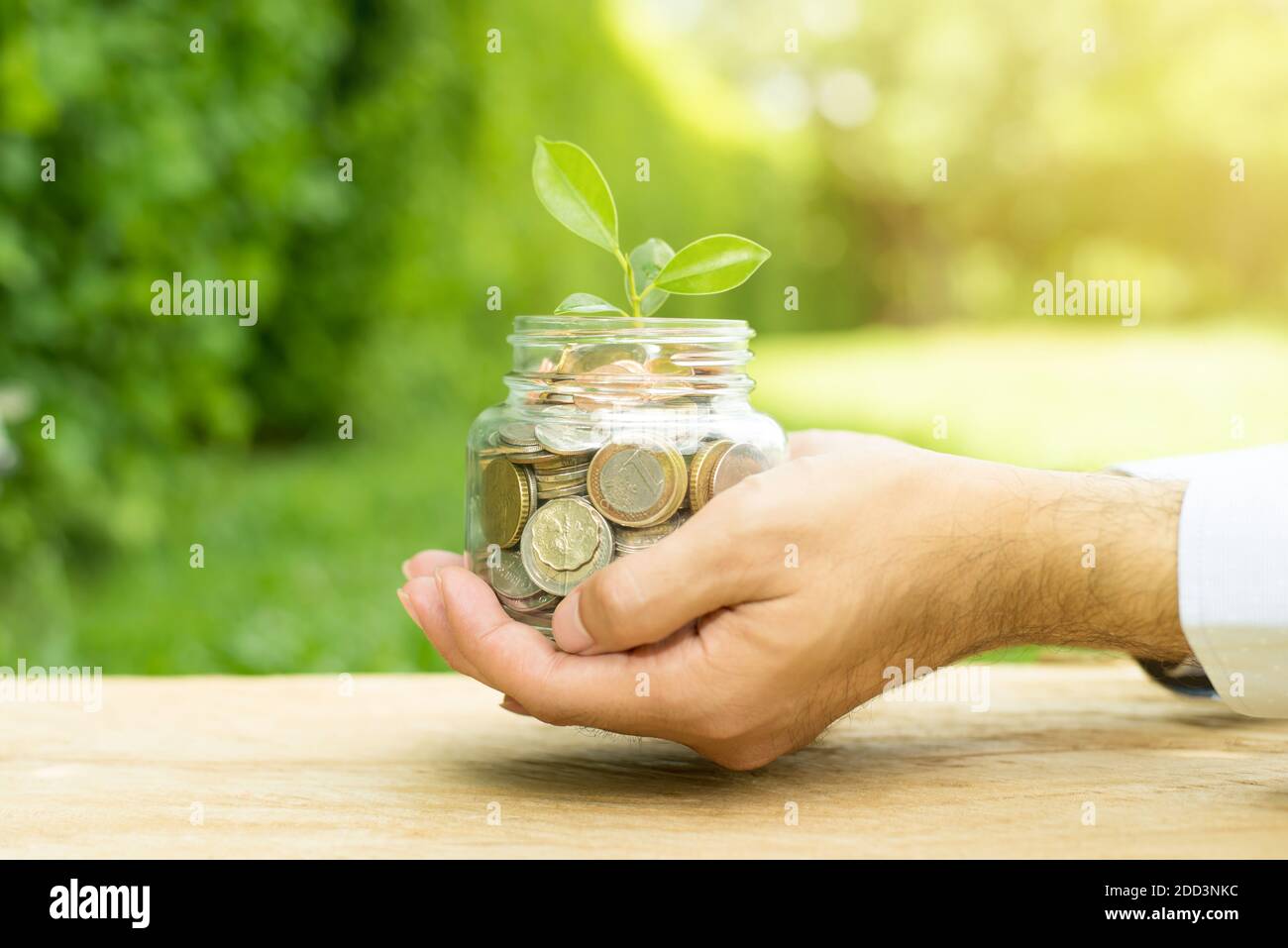 Plante poussant de l'argent (pièces) dans le pot en verre tenu par un homme - métaphore des affaires et de la finance Banque D'Images