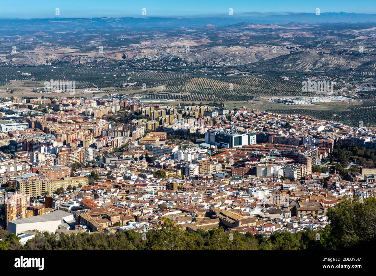 Jaén en Andalousie dans le sud de l'Espagne. C'est la capitale de la province du même nom, appelée capitale mondiale de l'huile d'olive. Banque D'Images