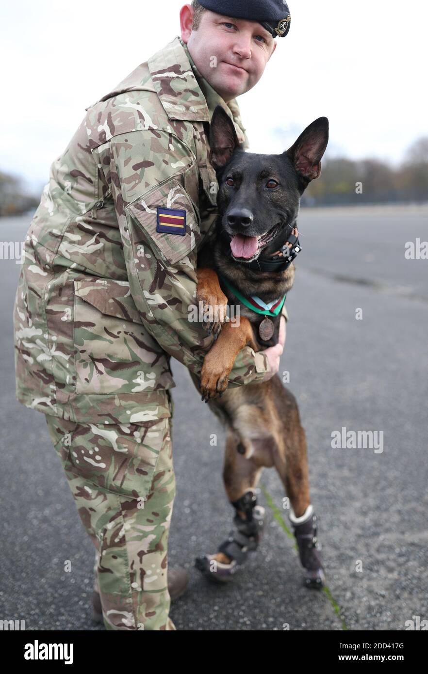 Un Maître Chien De Travail Militaire Banque d'image et photos - Alamy
