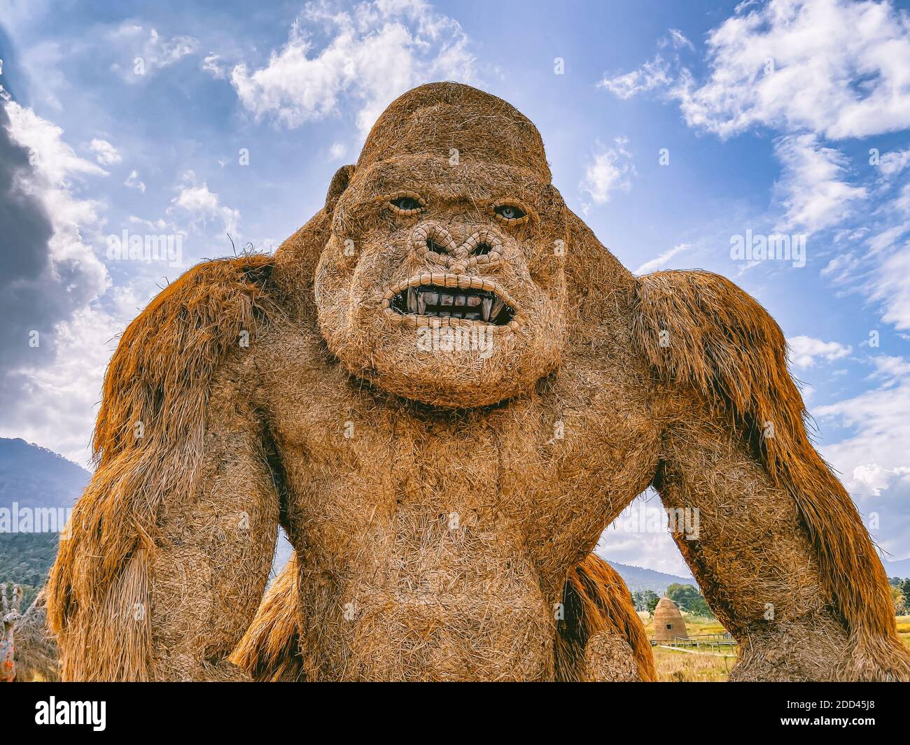 Sculptures d'animaux géants et de foin du roi Kong au lac Huay Tung Tao Don Kaeo dans la province de Chiang Mai, en Thaïlande. Photo de haute qualité Banque D'Images