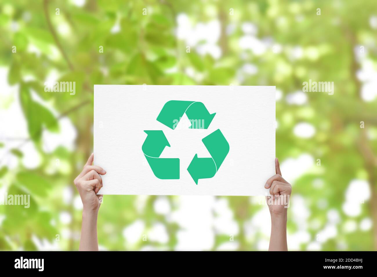 Main tenant le tableau blanc avec logo de recyclage sur fond vert nature. Concept du jour de la Terre Banque D'Images