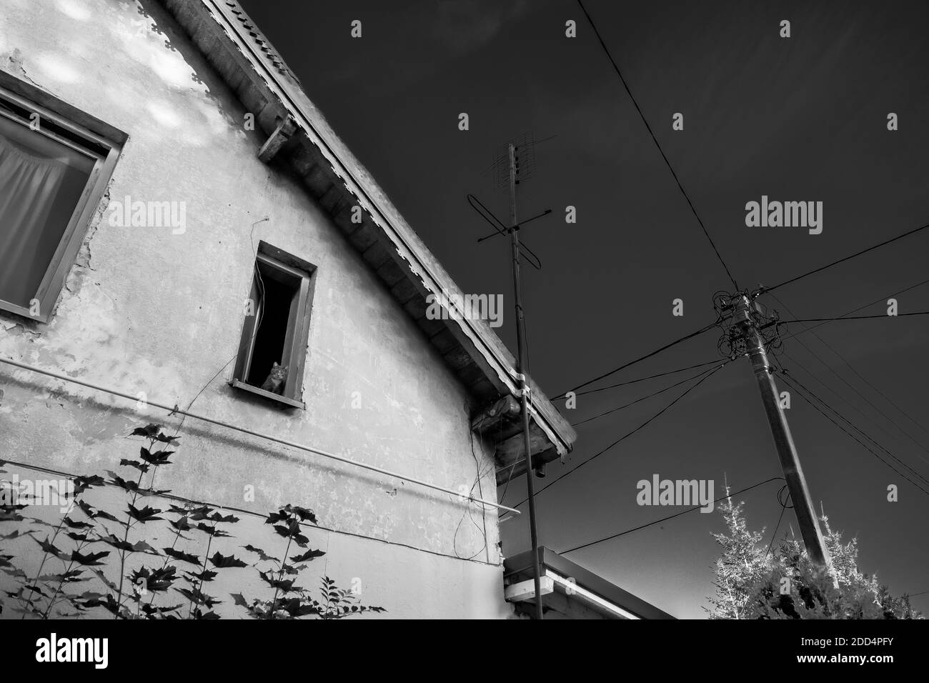 Vieille maison avec chat dans la fenêtre Banque D'Images