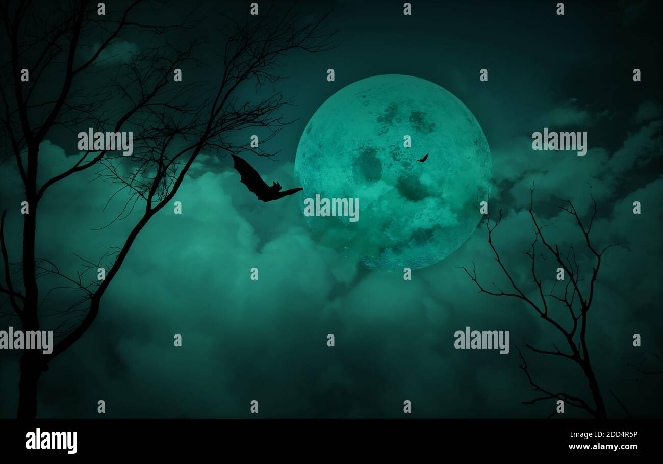 Halloween concept; fond d'horreur de forêt avec pleine lune et arbres morts dans le ciel de nuit. Banque D'Images