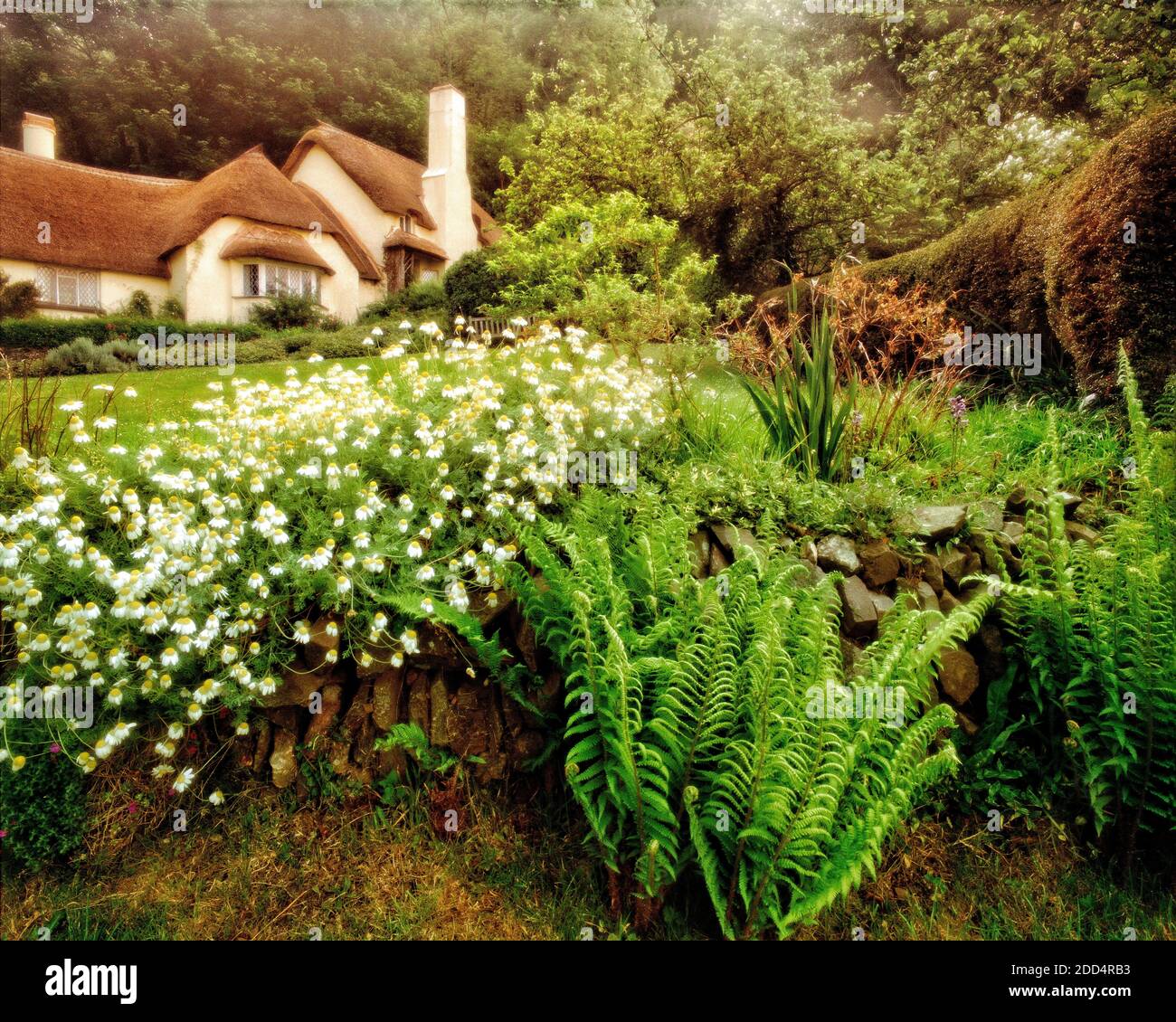 Go - SOMERSET : Lorna Doone Cottage at Selworthy Banque D'Images