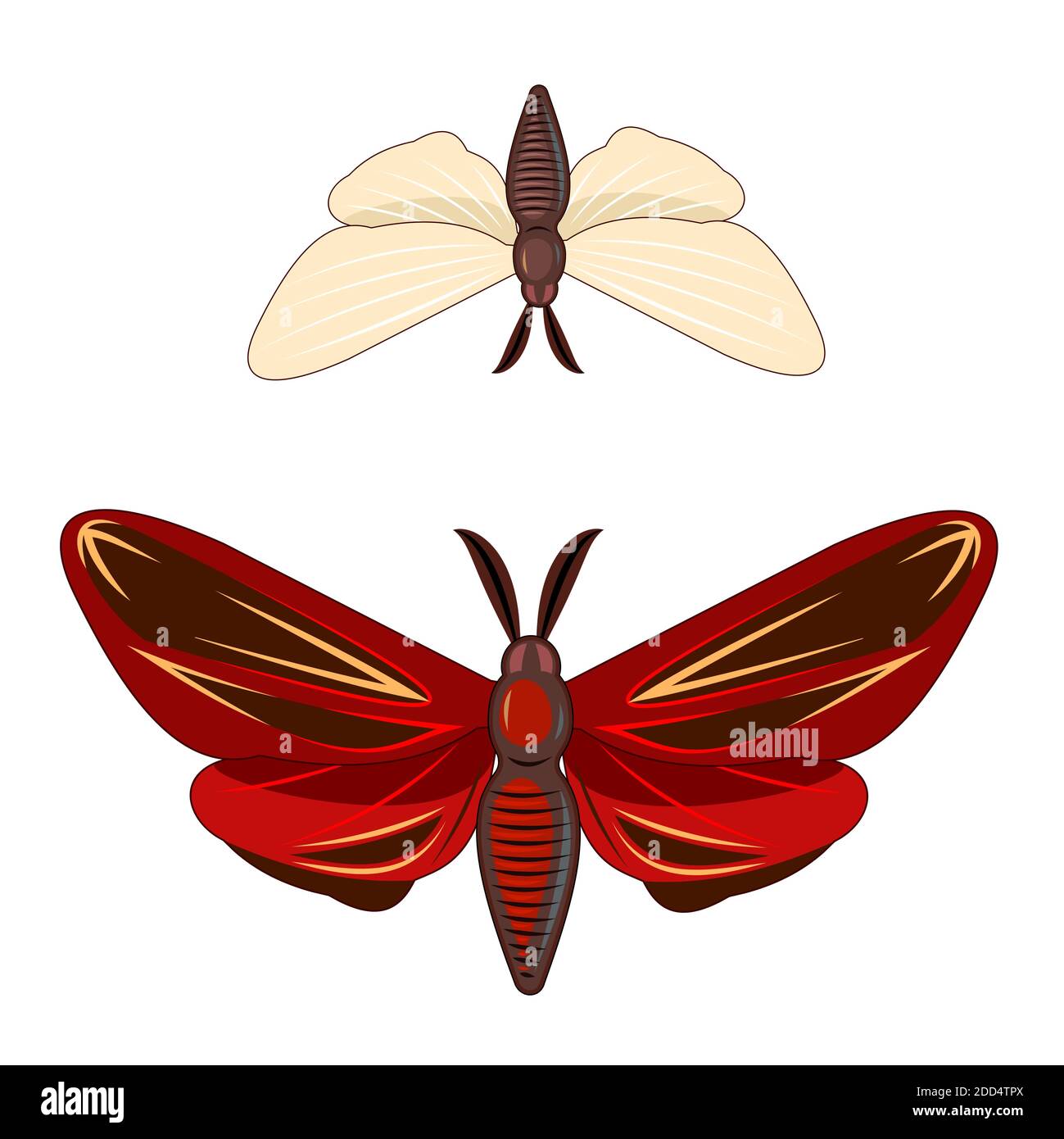 Papillon rouge et blanc. Des mois. Superbe composition lumineuse. Objet isolé sur blanc. Vecteur. Illustration de Vecteur