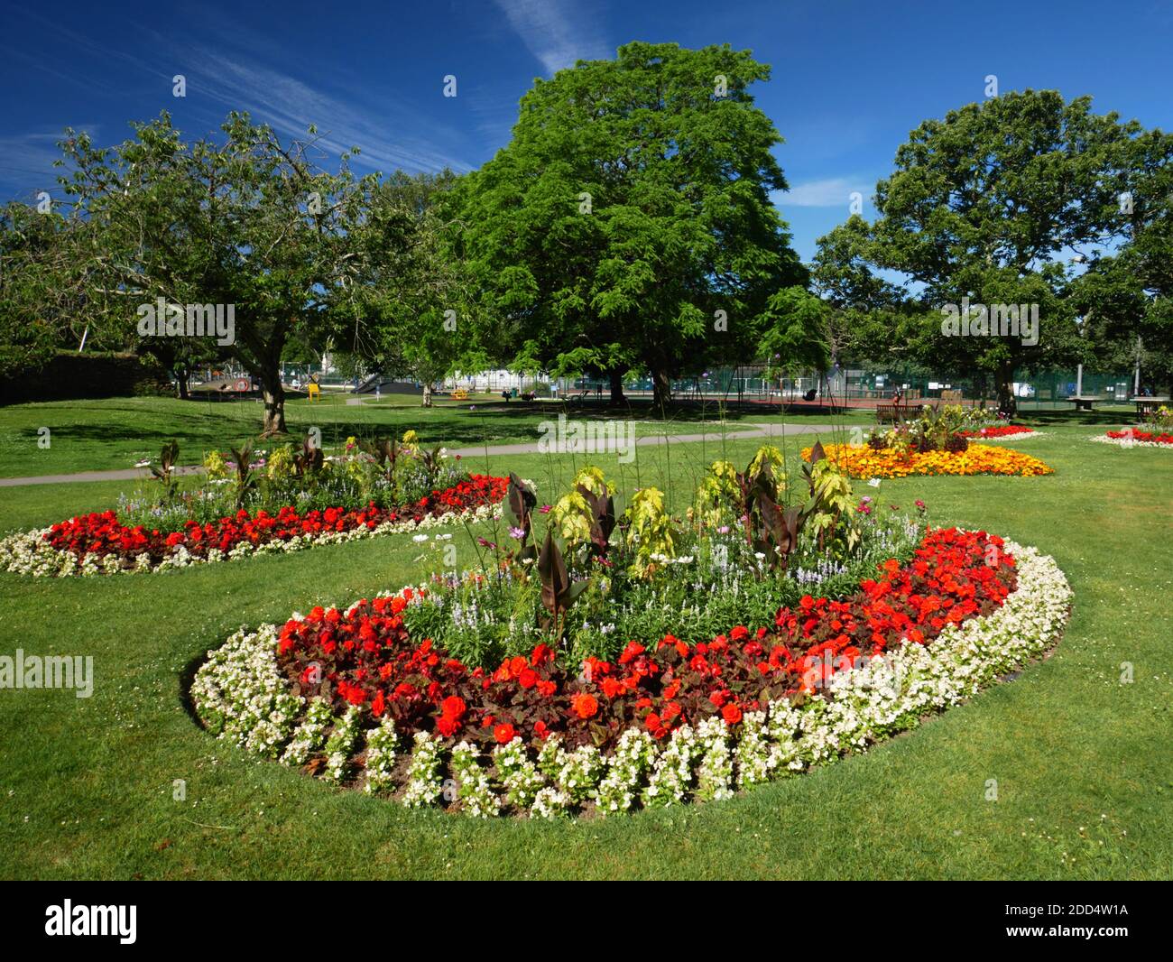 Expositions florales au parc Boscawen, Truro, Cornouailles. Banque D'Images