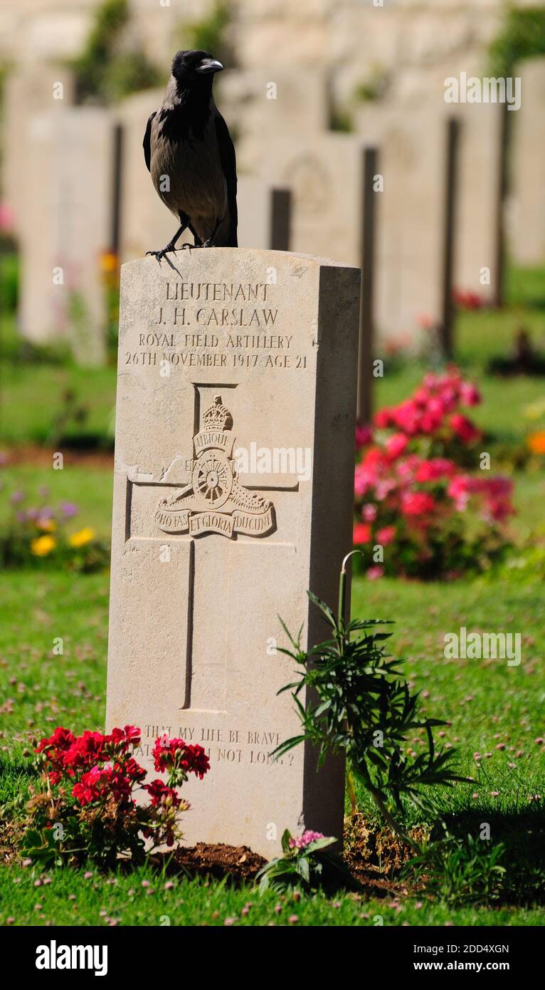 Cimetière militaire britannique pour les soldats tués en Palestine au moment du mandat britannique sur le mont Scopus à Jérusalem. Banque D'Images