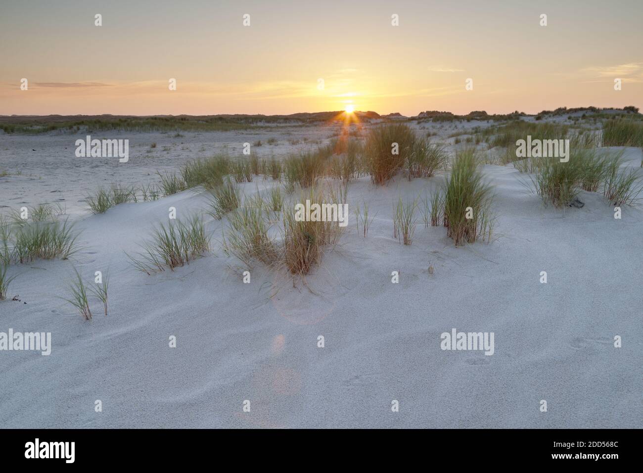 Géographie / Voyage, Allemagne, Schleswig-Holstein, Sylt, coucher de soleil sur les dunes à coude, liste, liberté-de-Panorama Banque D'Images