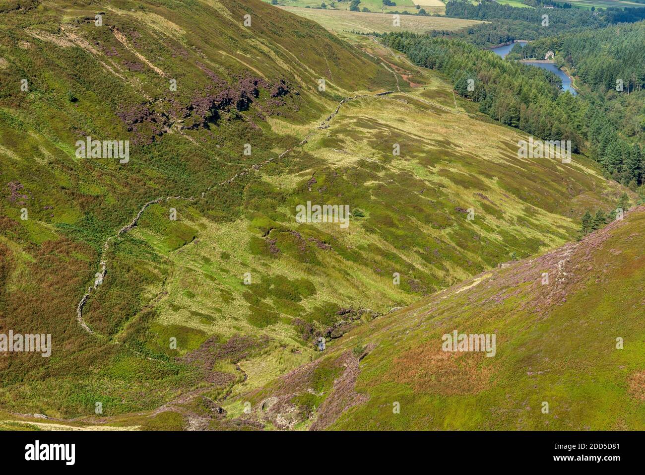 Ramsdens Clough et Ramsdens Edge, Peak district, Holmfirth, West Yorkshire, Angleterre, Royaume-Uni Banque D'Images