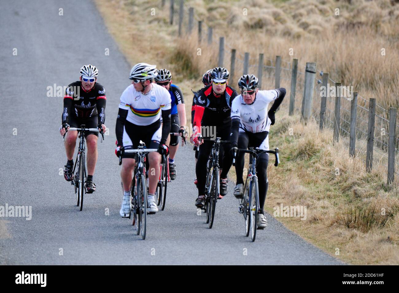 Un petit peloton de cyclistes à la campagne. Banque D'Images