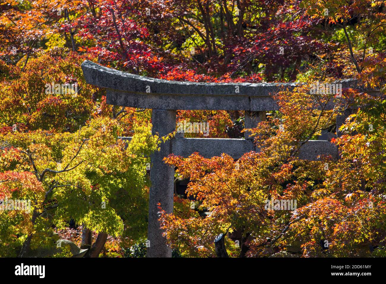 Le Japon, Kyoto, Temple Eikando Banque D'Images