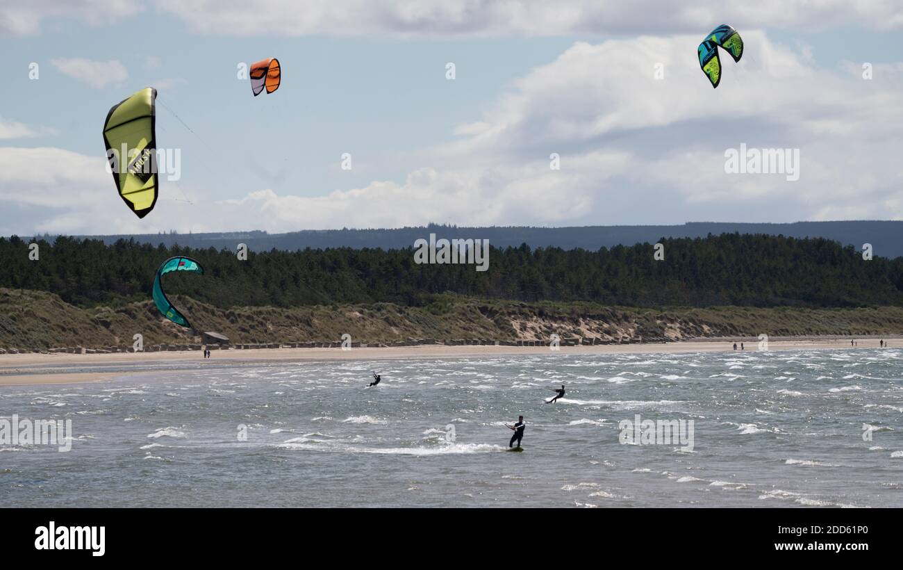 Parasurfeurs sur une plage de sable. Banque D'Images