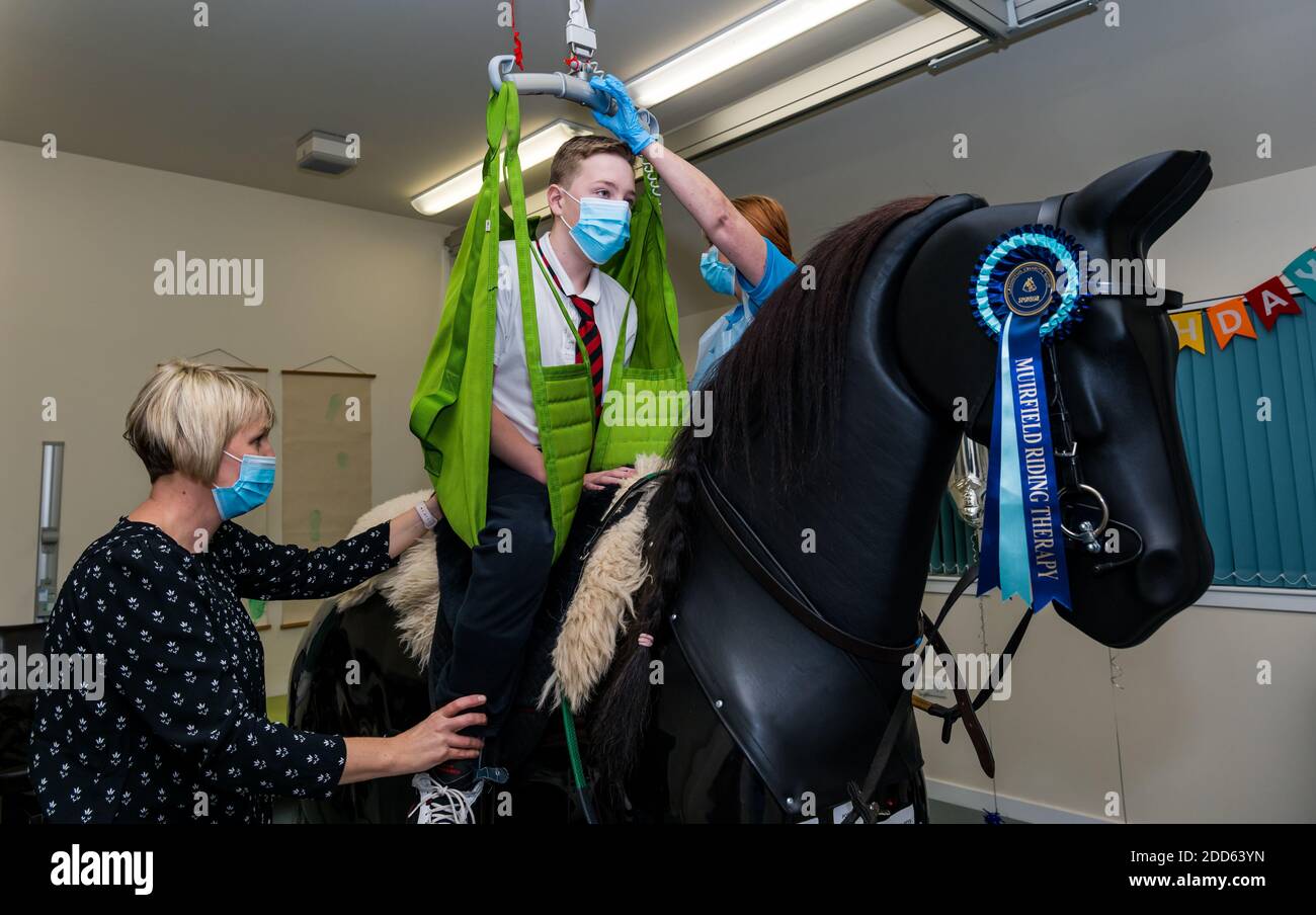 Horse riding simulator Banque de photographies et d'images à haute  résolution - Alamy