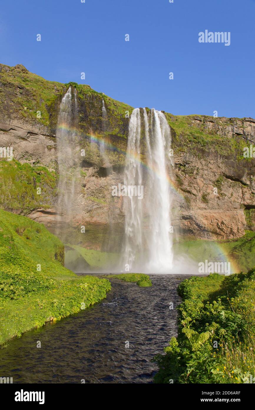 Chute d'eau de Seljalandsfoss, partie de la rivière Seljalands en été, région du Sud, Islande Banque D'Images