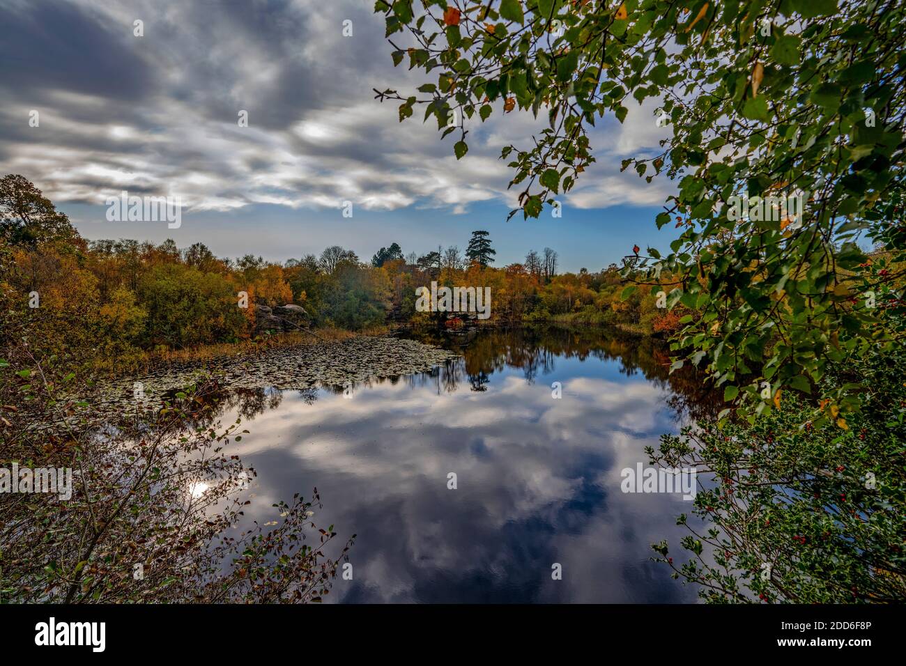 Automne à Lake Wood, UckFiled, East Sussex, Angleterre, Royaume-Uni. Banque D'Images