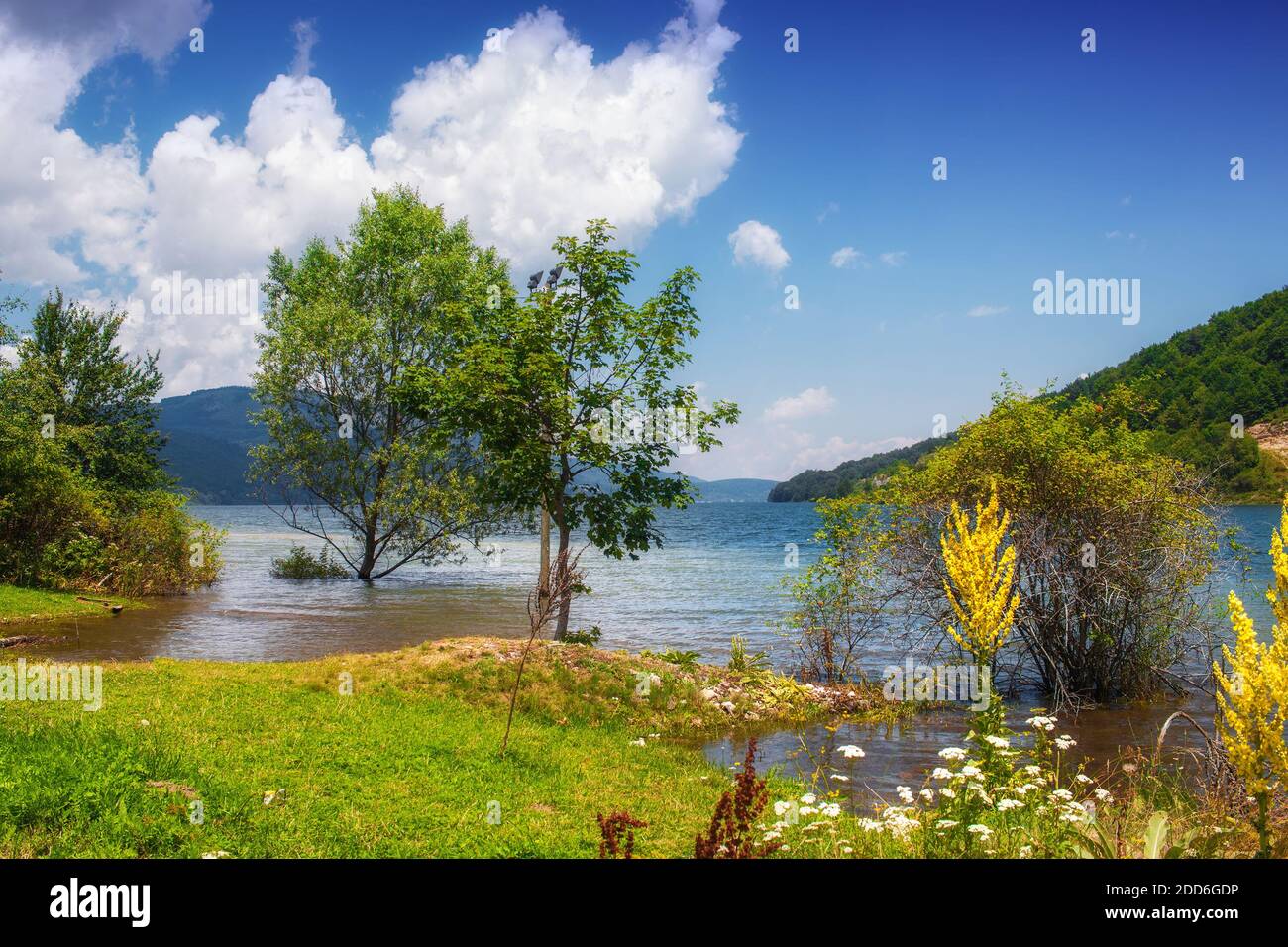 Parc national de Mavrovo en Macédoine Banque D'Images