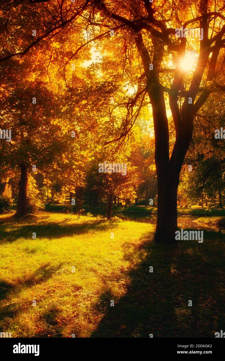 Automne dans le parc de la ville de Skopje Banque D'Images