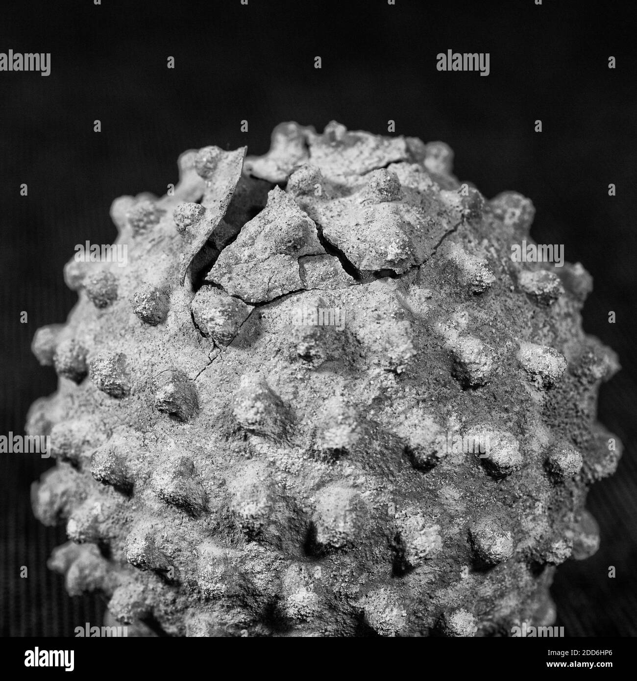Maquette d'un modèle de virus traitée en surface. Pour la découverte du vaccin Covid, le vaccin coronavirus, la virologie, la rupture virale, le coronavirus modèle. Banque D'Images