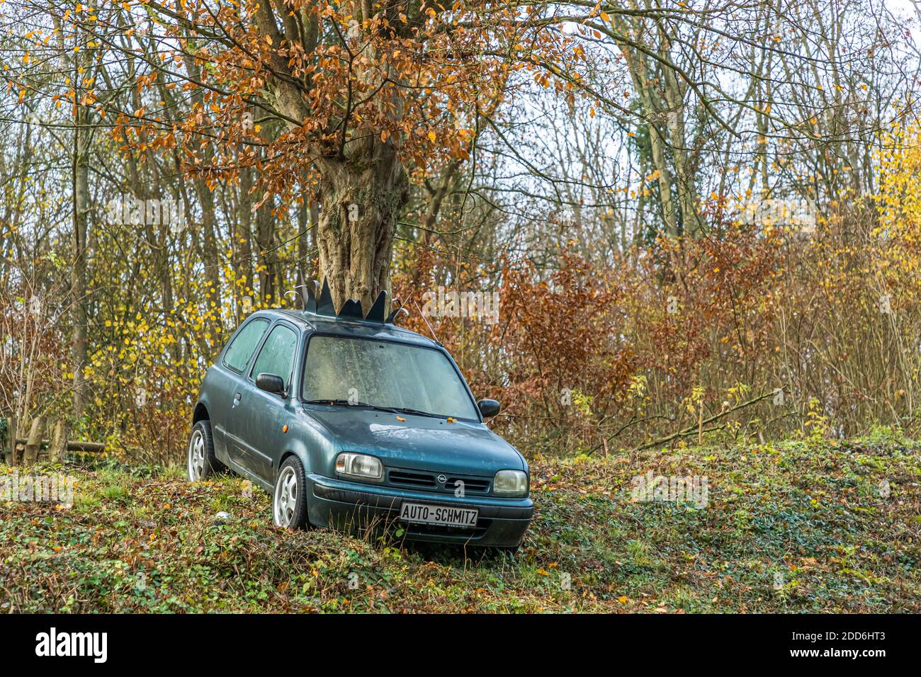 Meilleure empreinte carbone : un arbre pousse sur le toit d'une vieille voiture à Altenahr, en Allemagne Banque D'Images