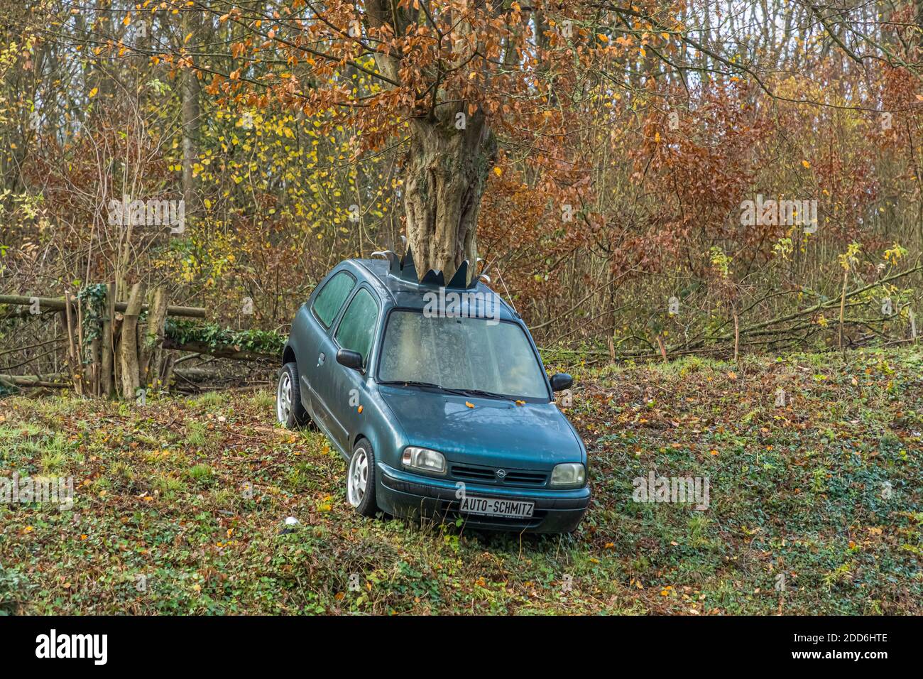 Meilleure empreinte carbone : un arbre pousse sur le toit d'une vieille voiture à Altenahr, en Allemagne Banque D'Images