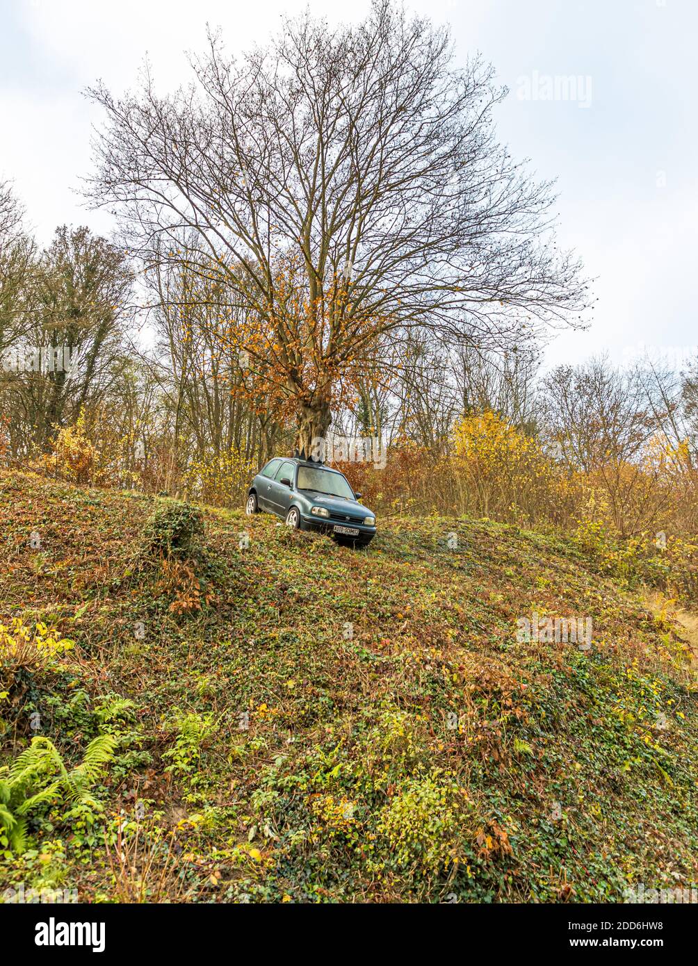 Meilleure empreinte carbone : un arbre pousse sur le toit d'une vieille voiture à Altenahr, en Allemagne Banque D'Images