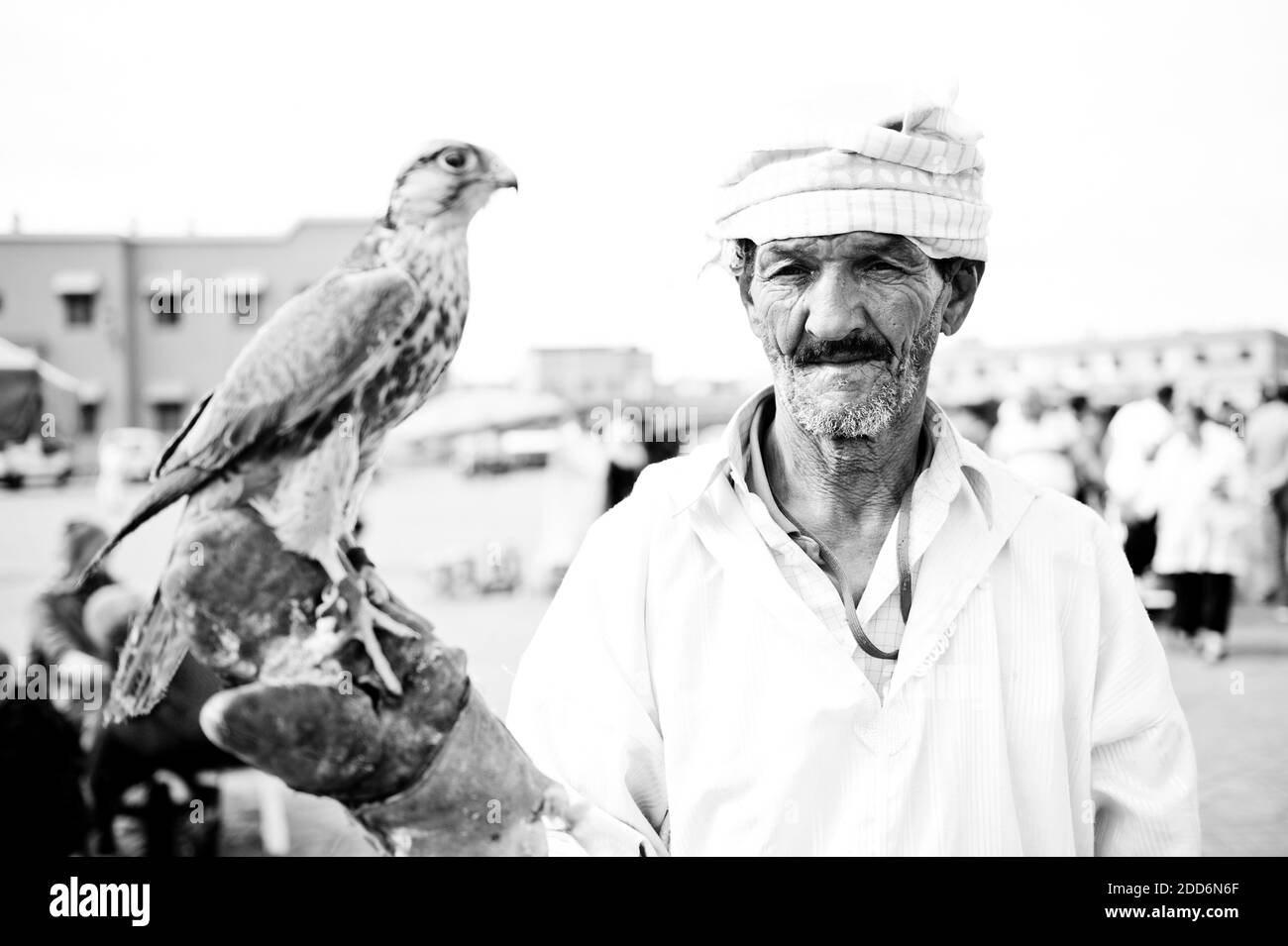 Portrait en noir et blanc d'un homme avec un oiseau de proie sur la place Djemaa El Fna, Marrakech (Marrakech), Maroc, Afrique du Nord Banque D'Images