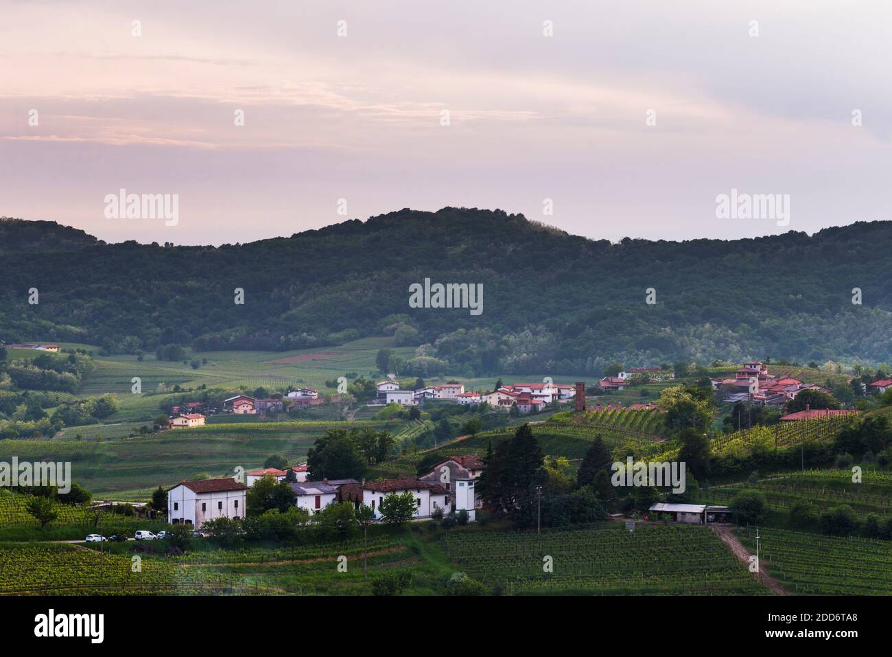 Maisons et vignobles près de Dobrovo, Goriska Brda (Gorizia Hills), Slovénie, Europe Banque D'Images