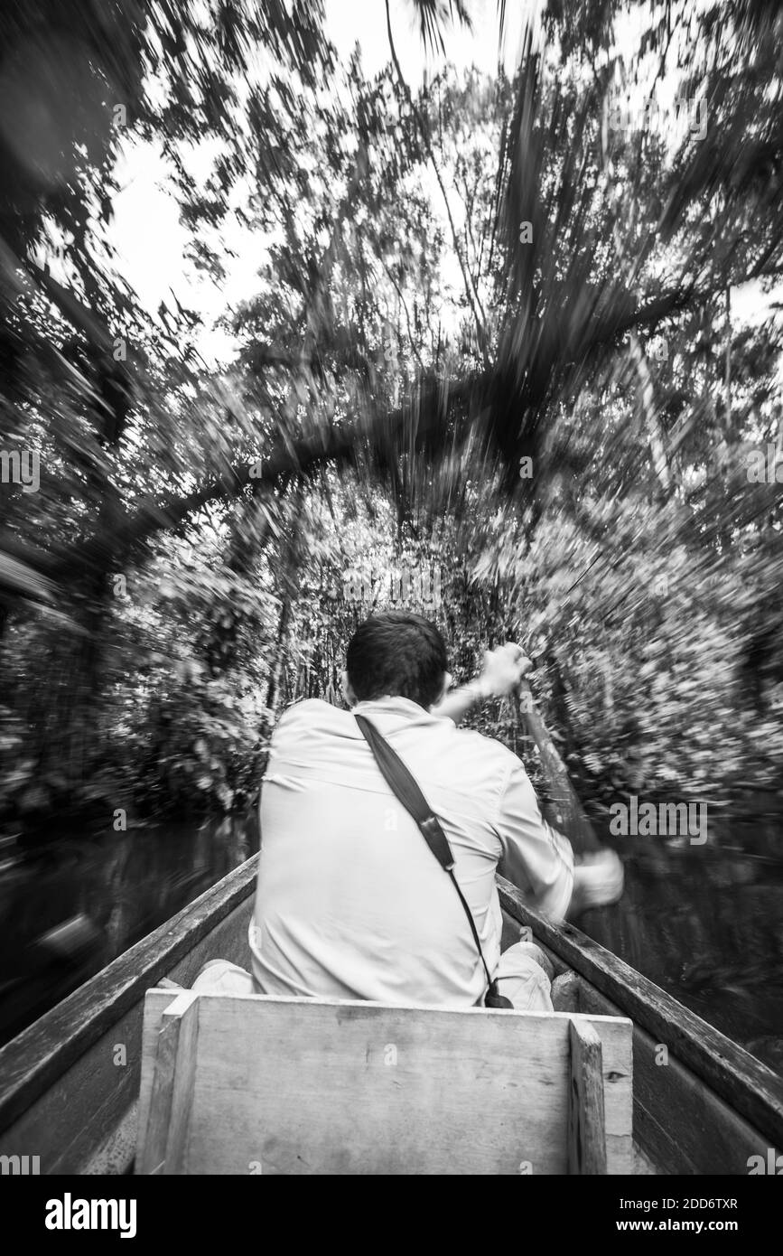 Promenade en canoë-kayak dans la forêt amazonienne, Coca, Équateur, Amérique du Sud Banque D'Images