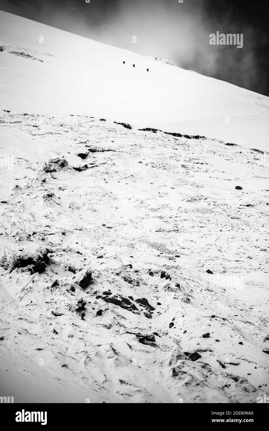 Photo en noir et blanc des grimpeurs grimpant sur le glacier du volcan Cotopaxi, province de Cotopaxi, Équateur, Amérique du Sud Banque D'Images