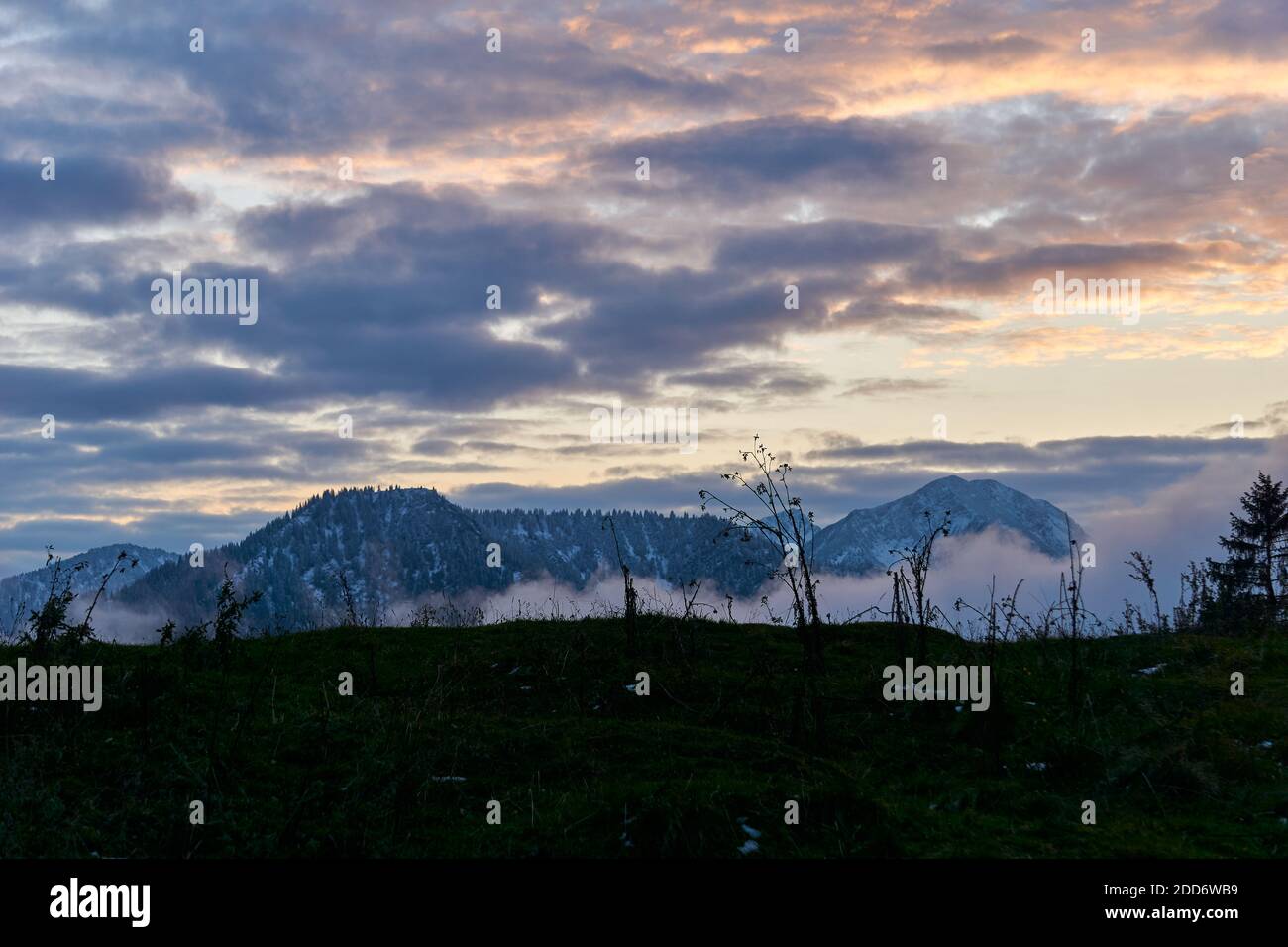Paysage à Sudelfeld en Bavière montrant la montagne Hochmiesing Banque D'Images