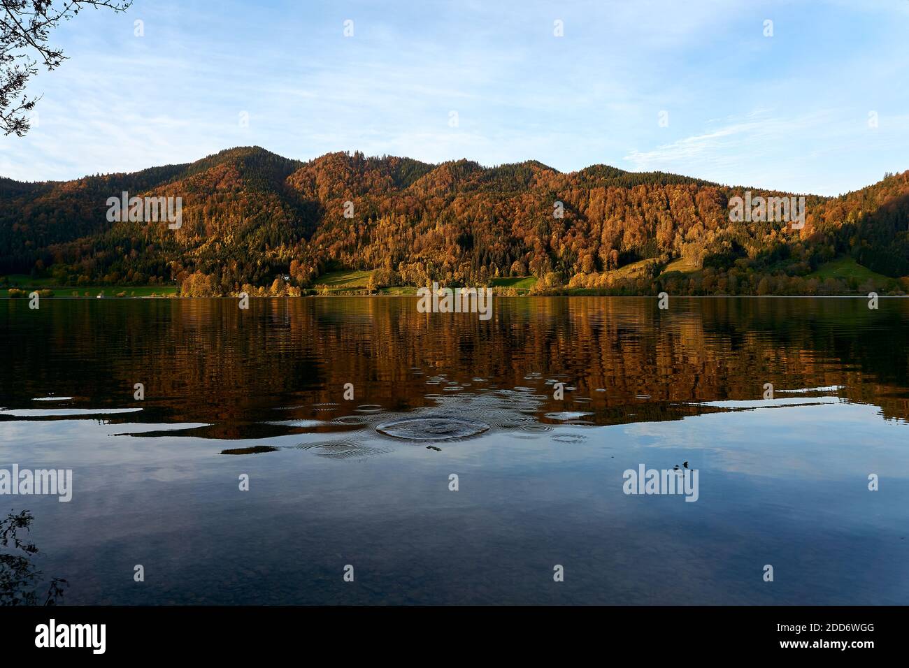 Reflet du lac Schliersee en automne Banque D'Images