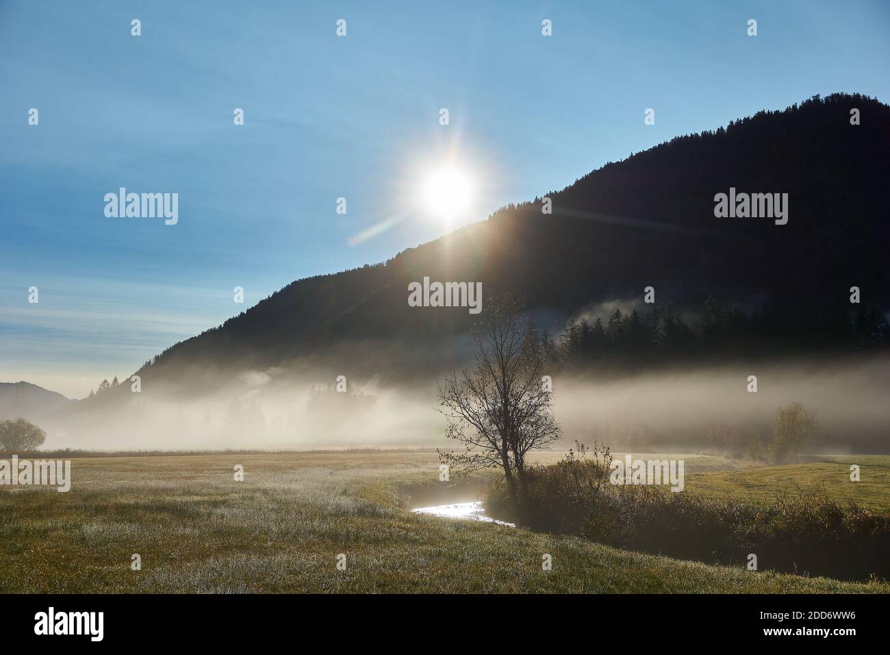 Brouillard sur le champ et le ruisseau à l'aube du soleil Banque D'Images