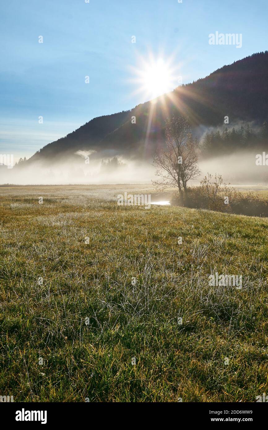 Brouillard sur le champ et le ruisseau à l'aube du soleil Banque D'Images