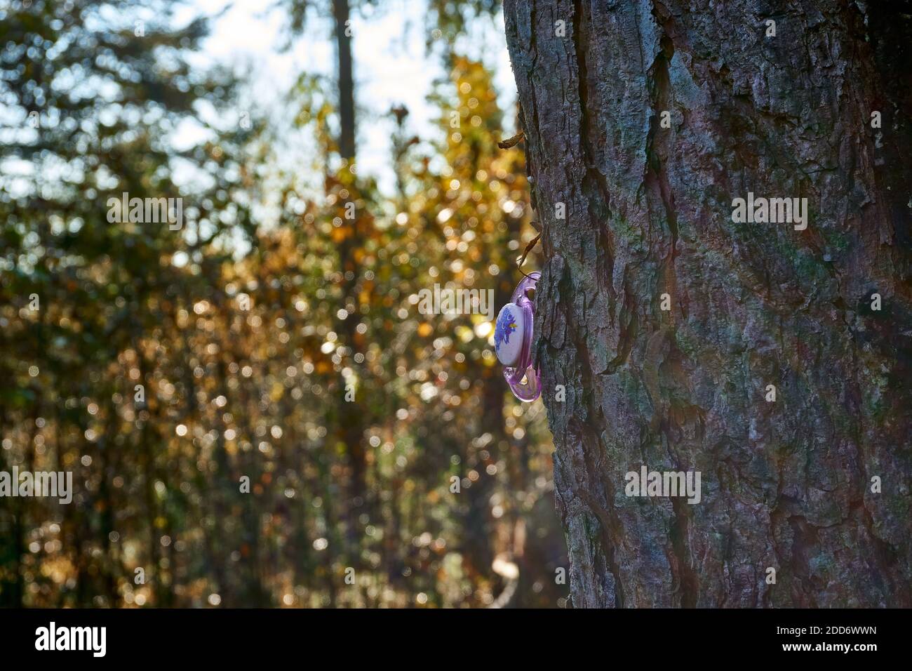 Sucette coincée dans un arbre d'automne Banque D'Images