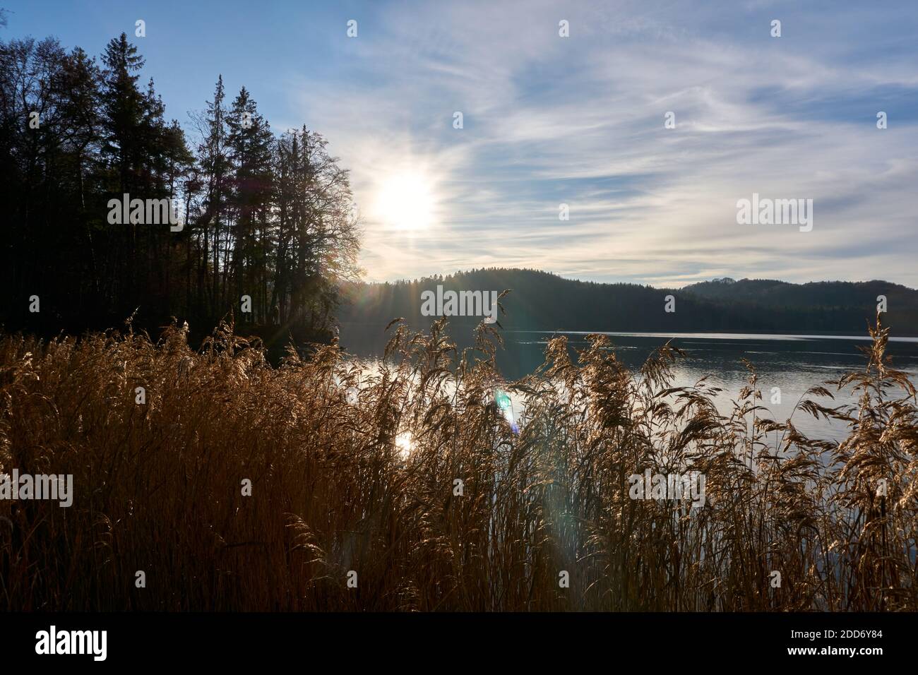 Lac Seehamer en automne avec le soleil visible Banque D'Images