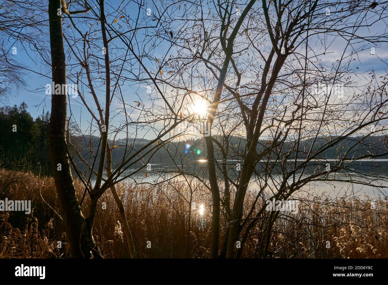 Lac Seehamer en automne avec le soleil visible Banque D'Images