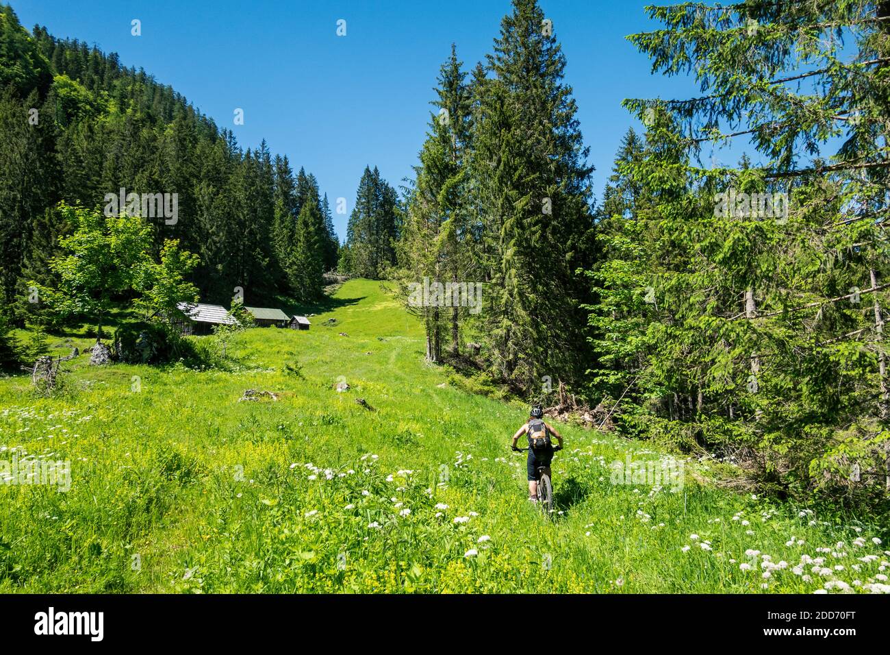 Une jeune femme à vélo de montagne dans la vallée verdoyante de Gaisberg près de Salzbourg. Banque D'Images