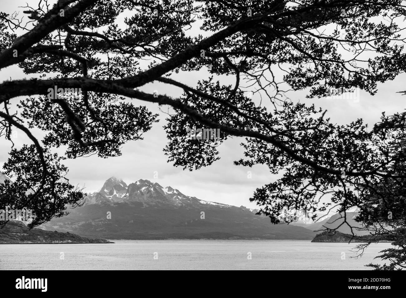 Parc national de Tierra Del Fuego, Ushuaia, Patagonie, Argentine, Amérique du Sud Banque D'Images