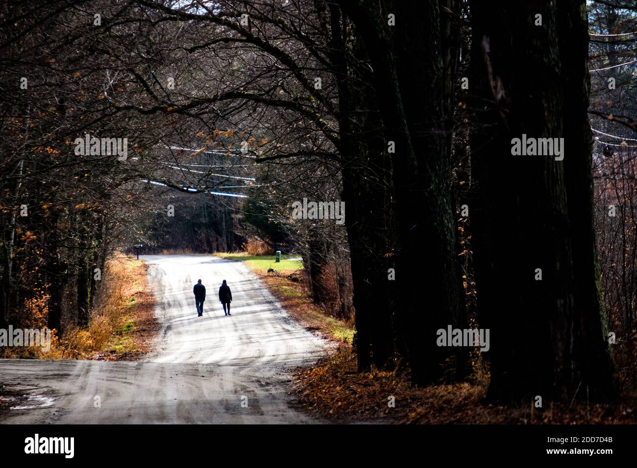 Un couple est silhoueté alors qu'ils marchent sur une route de terre rurale, est de Montpelier, VT, Nouvelle-Angleterre, États-Unis. Banque D'Images