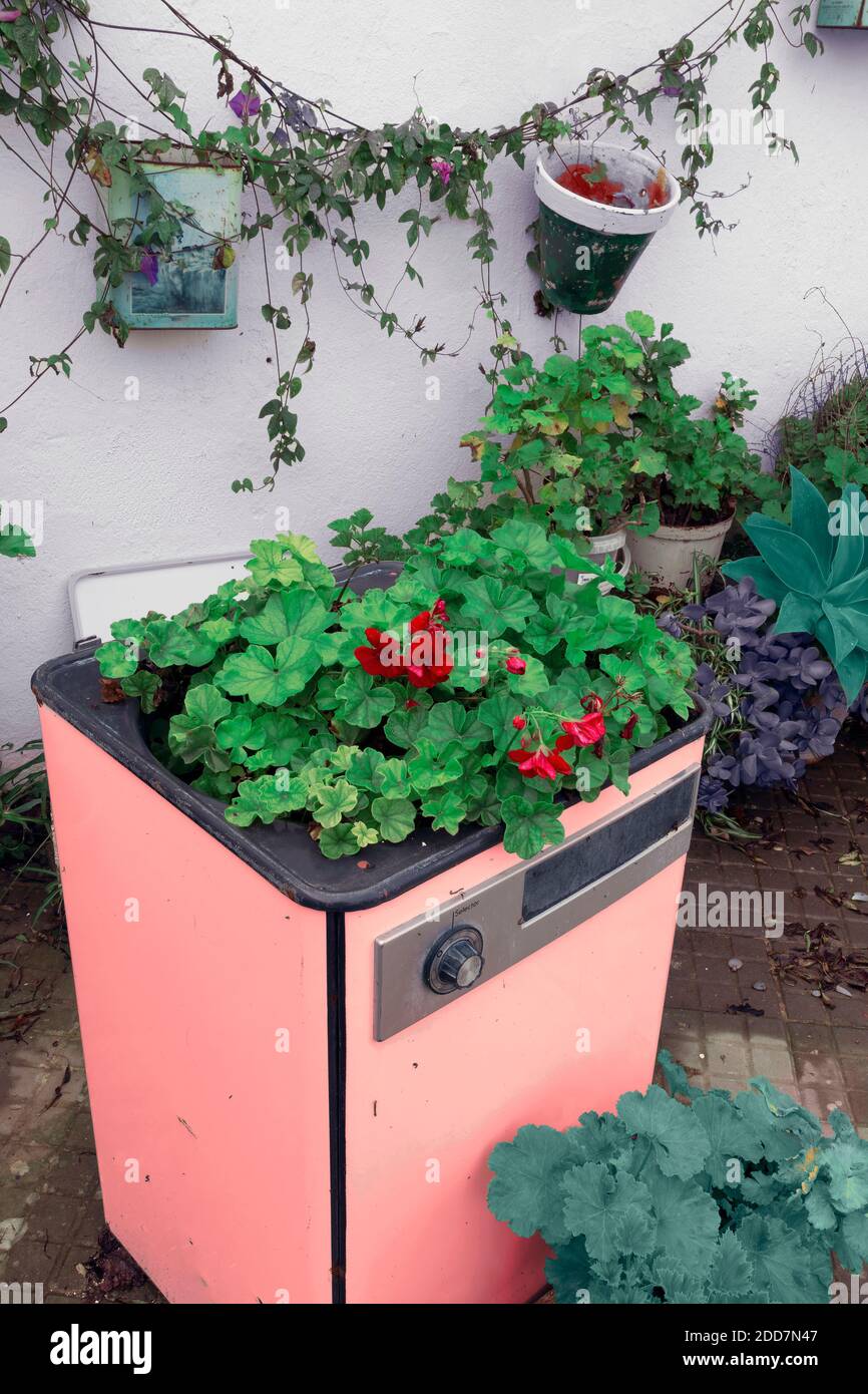 Ancien lave-linge recyclé converti en pot de fleurs d'origine. Banque D'Images
