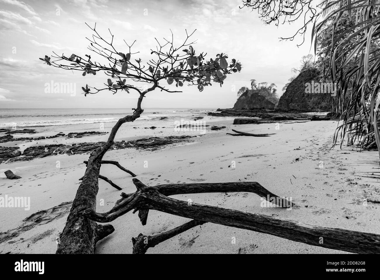 Plage de Punta Leona, province de Puntarenas, côte Pacifique du Costa Rica Banque D'Images