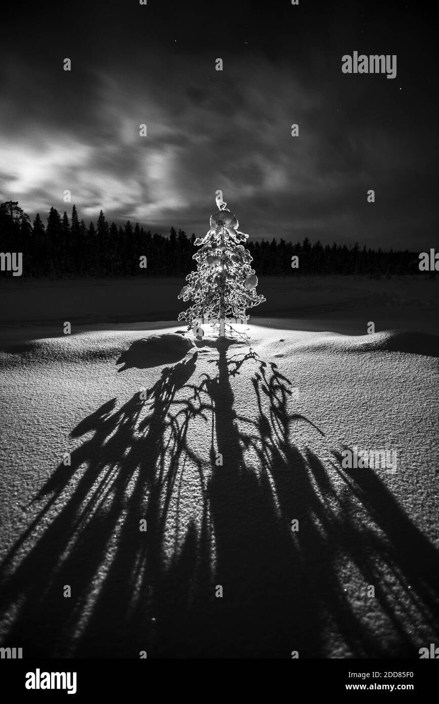 Paysage de Laponie la nuit sous les étoiles dans le paysage gelé d'hiver, Finlande Banque D'Images
