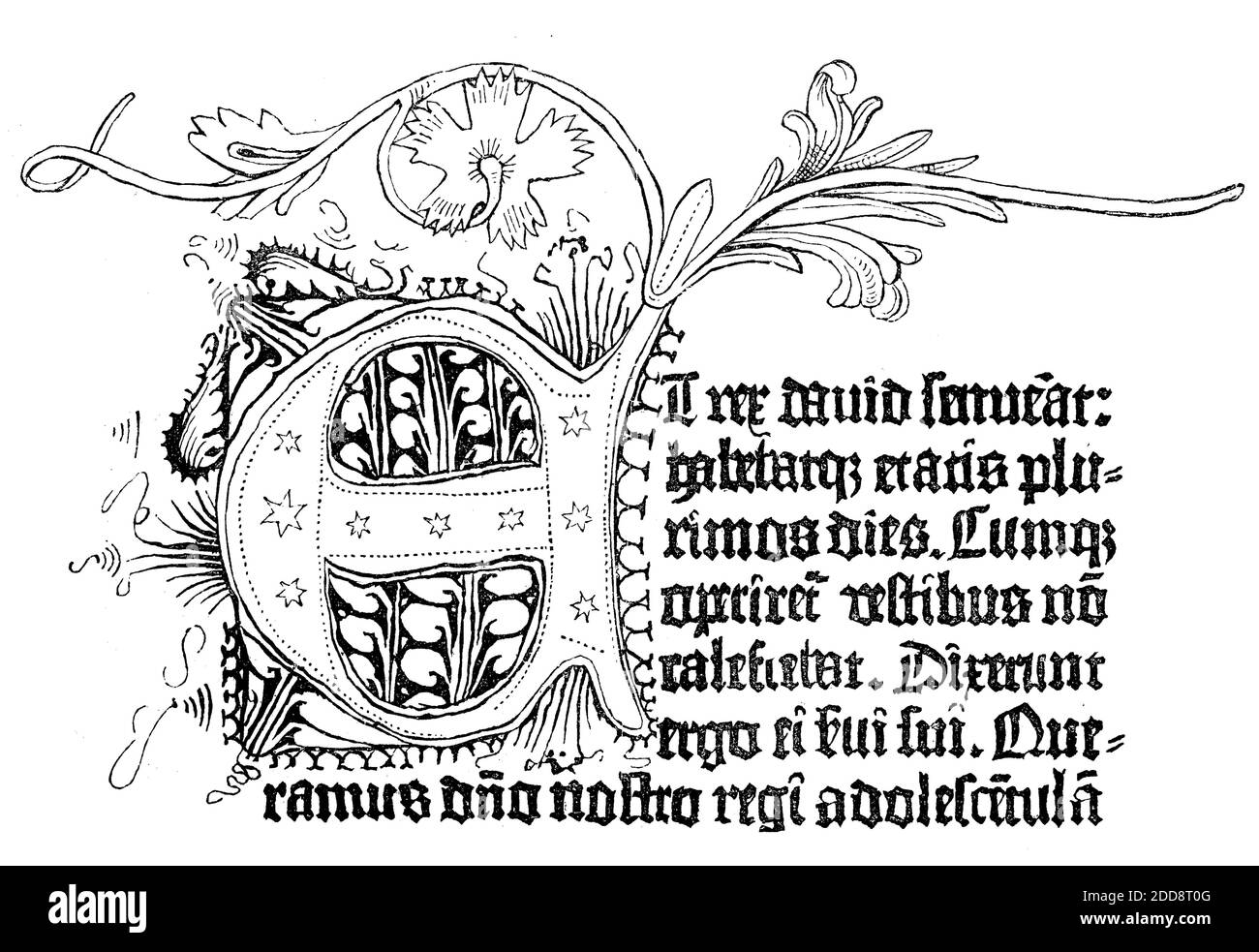 Fax de la Bible de Gutenberg, également connu sous le nom de B42 ou B-42 en  raison du nombre de 42 lignes par page, est le premier livre imprimé avec  des lettres