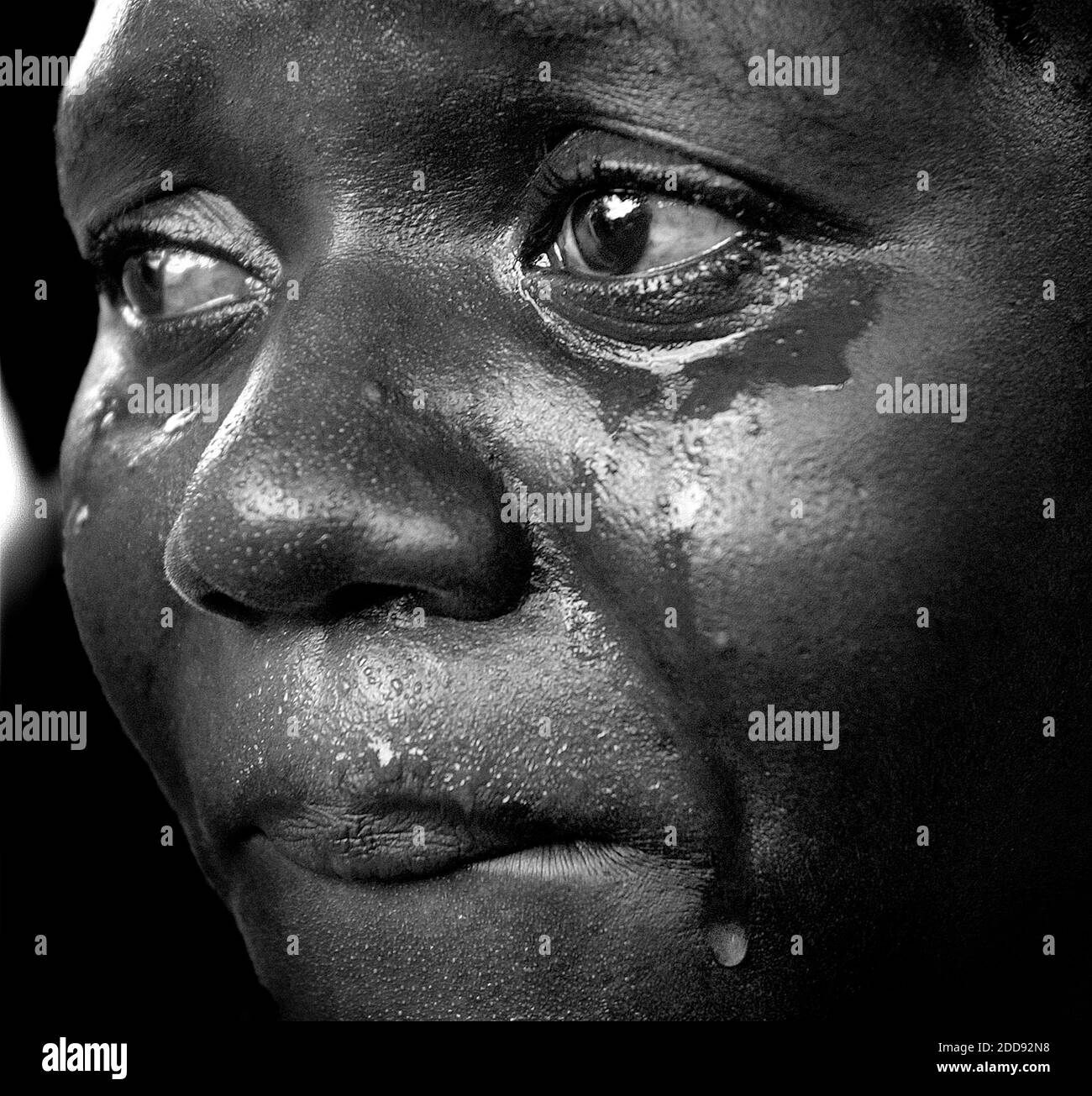 PAS DE FILM, PAS DE VIDÉO, PAS de TV, PAS DE DOCUMENTAIRE - photo de dossier datée du 7 septembre 2008, d'une femme pleurant que les corps de 12 enfants sont posés sur un lit de camion pour la morgue à Cabaret, Haïti. Haïti, classé depuis longtemps comme la nation la plus pauvre de l'hémisphère occidental, a vu son peuple flamber sous la cruauté d'une saison d'ouragan impitoyable en 2008. Quatre tempêtes consécutives ont frappé la nation insulaire, laissant dans leur sillage des morts effarantes et des destructions massives à un mode de vie déjà fragile. La photo a été prise par le photographe du Miami Herald Patrick Farrell, qui a remporté le Pulitzer 2009 pour Breaki Banque D'Images