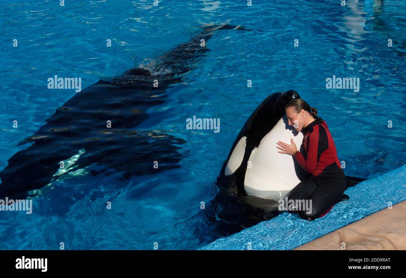 PAS DE FILM, PAS DE VIDÉO, PAS de télévision, PAS DE DOCUMENTAIRE - Dawn Brancheau, une compagnie d'entraînement de baleines à SeaWorld Adventure Park, présentée au stade SeaWorld Shamu à Orlando, Floride, États-Unis le 30 décembre 2005, a été tuée lors d'un accident avec une orque le mercredi 24 février 2010. Photo de Julie Fletcher/Orlando Sentinel/MCT/ABACAPRESS.COM Banque D'Images PAS DE FILM, PAS DE VIDÉO, PAS de télévision, PAS DE DOCUMENTAIRE - Dawn Brancheau, une compagnie d'entraînement de baleines à SeaWorld Adventure Park, présentée au stade SeaWorld Shamu à Orlando, Floride, États-Unis le 30 décembre 2005, a été tuée lors d'un accident avec une orque le mercredi 24 février 2010. Photo de Julie Fletcher/Orlando Sentinel/MCT/ABACAPRESS.COM Banque D'Images