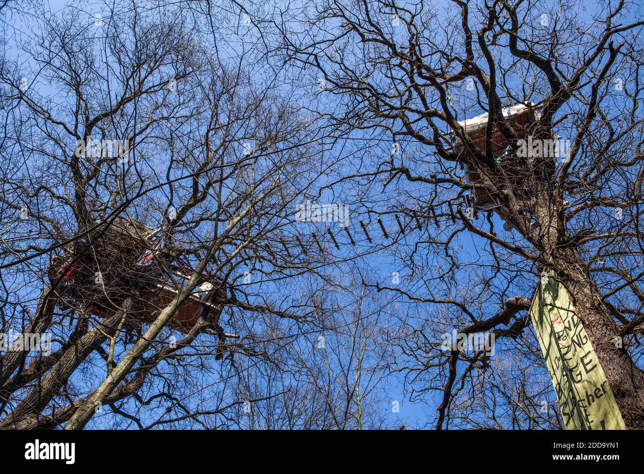 Trois maison à 25 mètres, construite par les activistes pour éviter la coupe du bois. La police essaie de nettoyer les maisons d'arbres dans la forêt de Hambach. Kerpen, Rhénanie-du-Nord-Westphalie, Allemagne, 14 mars 2018. Photo par Antonio Cascio/ABACAPRESS.COM Banque D'Images