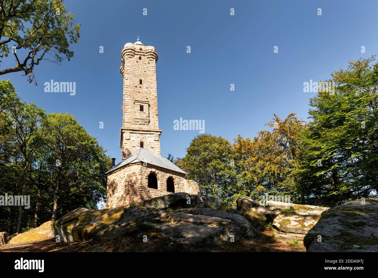 Rehbergturm dans la forêt du Palatinat Banque D'Images