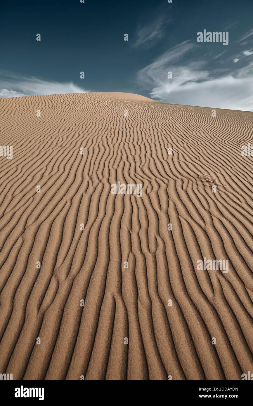Vagues naturelles sur le sable de Cadix Dunes dans le désert de Mojave, Californie du Sud, États-Unis Banque D'Images