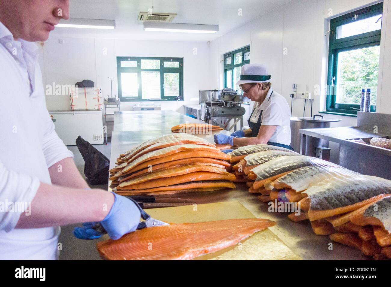 Travailleur coupant du poisson pendant que l'employé principal travaille au comptoir usine de transformation des aliments Banque D'Images