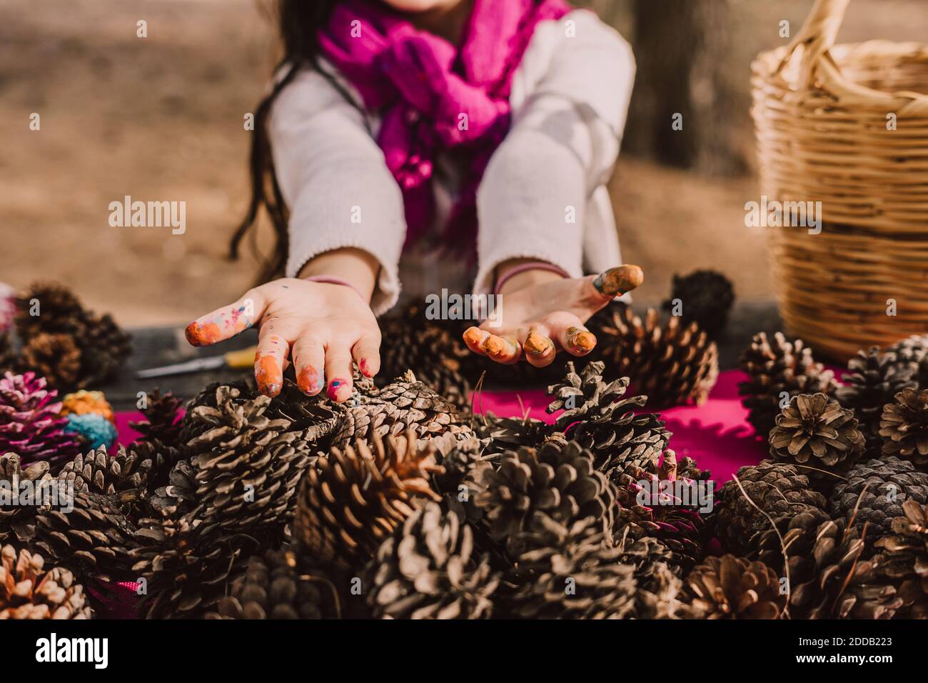 Mains salissantes de la fille avec des cônes de pin à la table de pique-nique dans le parc Banque D'Images